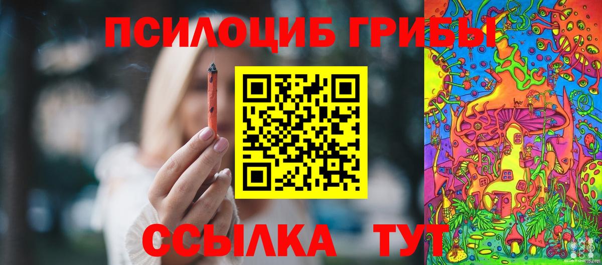 Галлюциногенные грибы прущие грибы Баксан